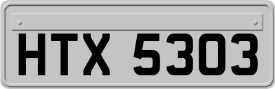 HTX5303