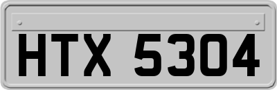 HTX5304