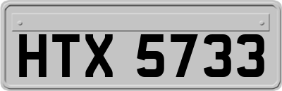 HTX5733