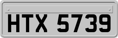 HTX5739