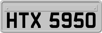 HTX5950