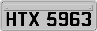 HTX5963