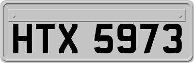 HTX5973