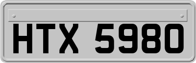 HTX5980