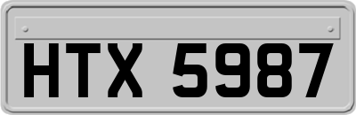 HTX5987