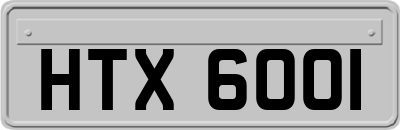 HTX6001