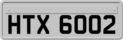 HTX6002