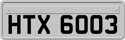 HTX6003