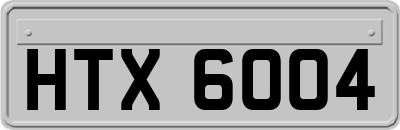 HTX6004