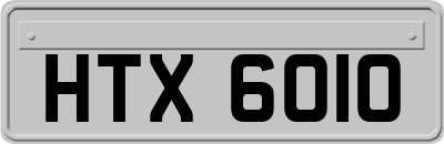 HTX6010