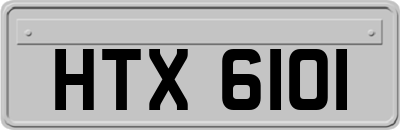 HTX6101