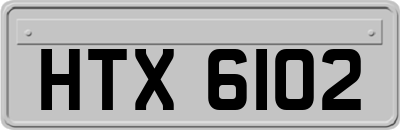 HTX6102