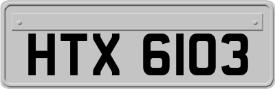 HTX6103