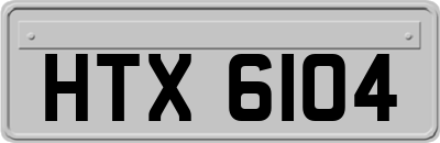 HTX6104