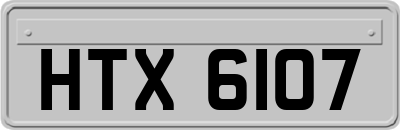 HTX6107