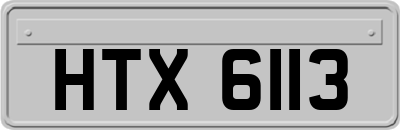 HTX6113