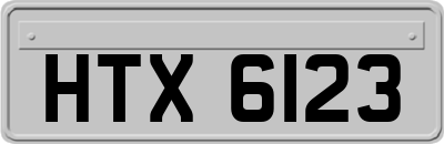 HTX6123