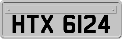 HTX6124