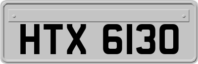 HTX6130