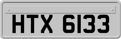 HTX6133