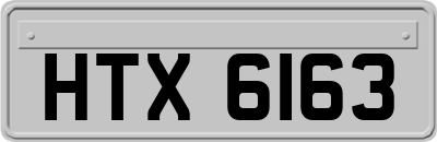 HTX6163