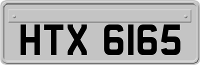 HTX6165