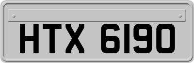 HTX6190