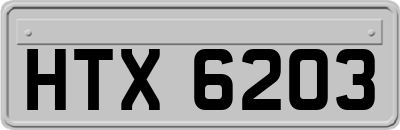 HTX6203