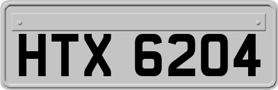 HTX6204