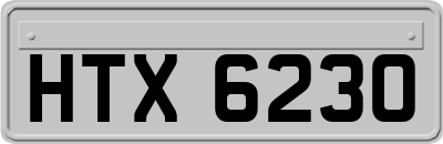 HTX6230