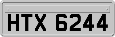 HTX6244