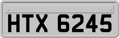 HTX6245