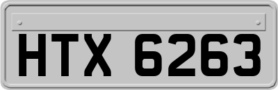 HTX6263