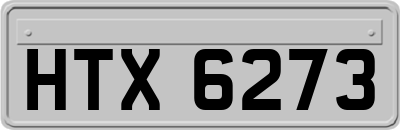 HTX6273