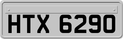 HTX6290