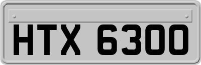 HTX6300