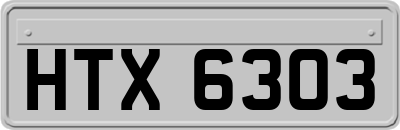 HTX6303