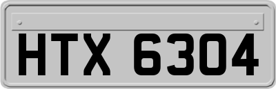 HTX6304