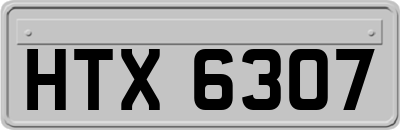 HTX6307