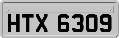 HTX6309