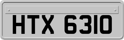 HTX6310