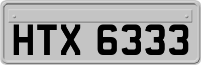 HTX6333