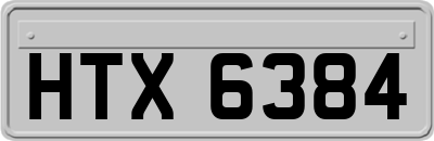 HTX6384