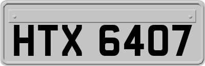 HTX6407