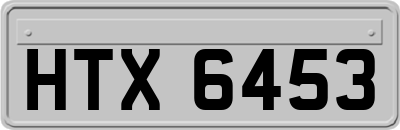 HTX6453