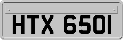 HTX6501