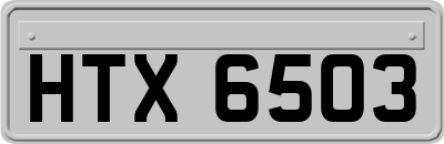 HTX6503