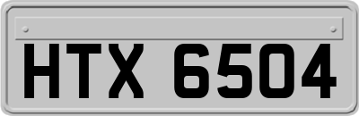 HTX6504