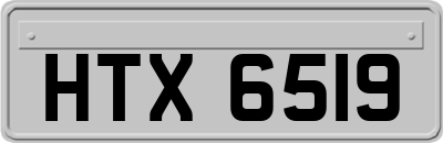 HTX6519