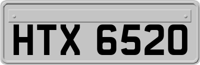 HTX6520